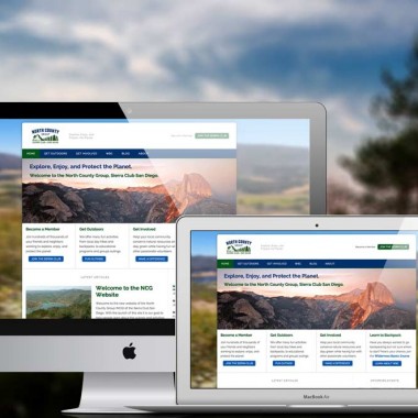 North County Group Website Design