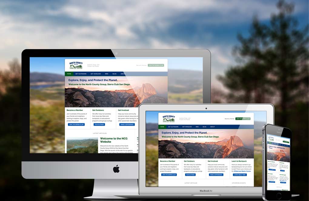 North County Group Website Design